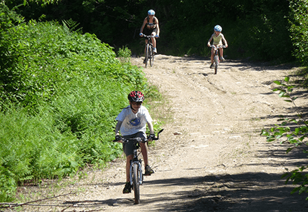 Two children and an adult in shorts and helmets on bikes, biking down dirt road with ferns and pine trees off the the side. Sun is shining. 